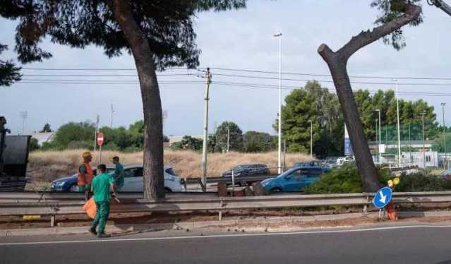 Viale Campioni Ditalia