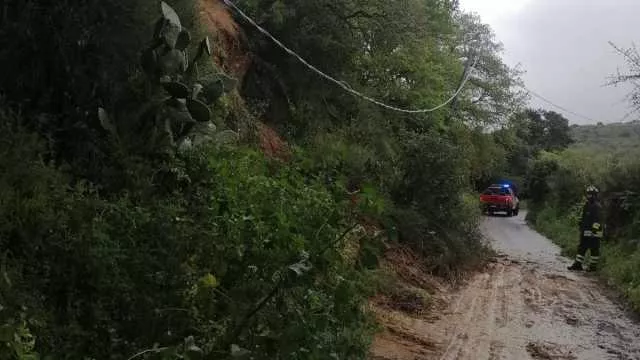 Alberi caduti, abitazioni allagate e crolli: giornata intensa per i vigili del fuoco nel nuorese