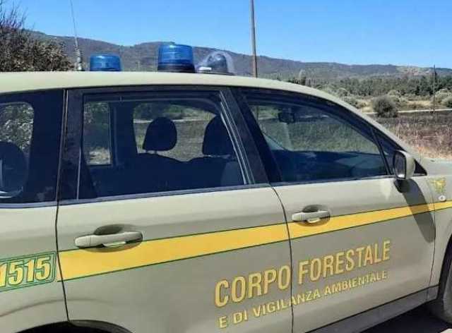 Smantellati due campeggi abusivi nel Sulcis: la vasta operazione del Corpo Forestale