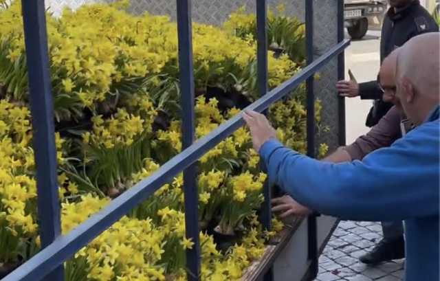 Morte del Papa, i fedeli assaltano i furgoni con i fiori portati via da piazza San Pietro (Video)
