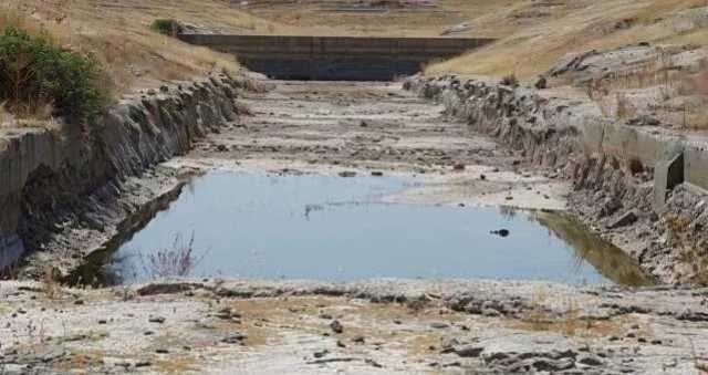 Siccità nel Sud Sardegna, le (pessime) previsioni di Coldiretti: 