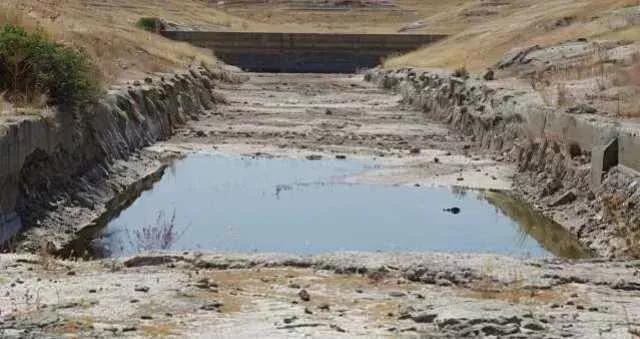 Siccità nel Sud Sardegna, le (pessime) previsioni di Coldiretti: 