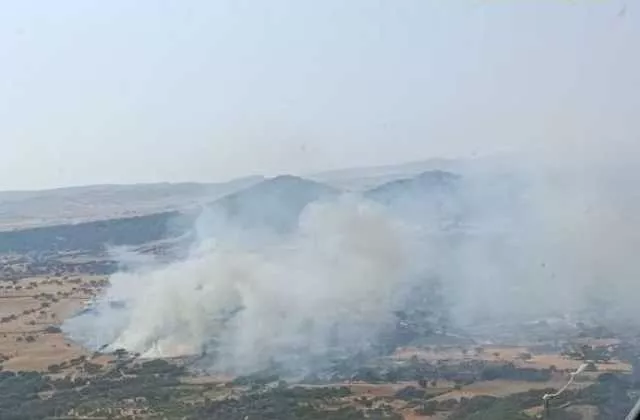 Quasi 15 roghi in Sardegna oggi: ancora fuoco a Ballao, Ardara e Pattada