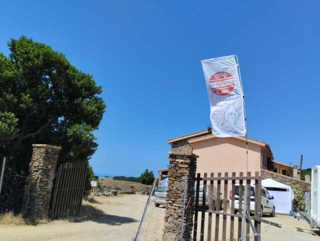 Arbus, grande successo per 