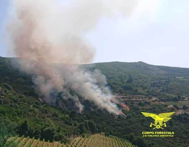Ancora fuoco in Sardegna, 25 roghi scoppiati oggi: elicotteri in volo