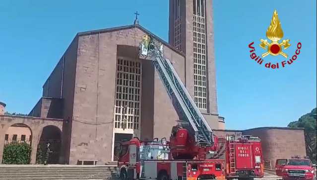Cercano un cavo pericolante, trovano uno sciame d'api: l'intervento a Fertilia (VIDEO)