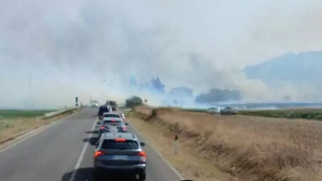 Incendio a Sanluri: a rischio un rimboschimento vicino alla provinciale 59