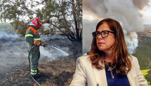 Sardegna devastata dagli incendi, Todde: 
