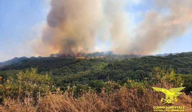 Sabato infernale nell'Isola: 25 incendi, fiamme da Ales a Senorbì e Assemini