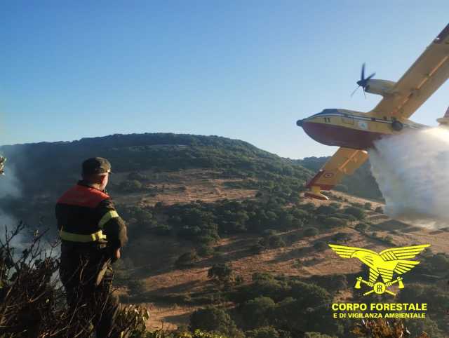 Grosso incendio nelle campagne di Loiri Porto San Paolo: il vento peggiora le cose