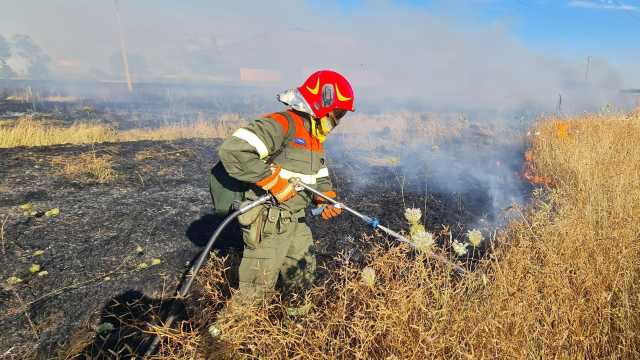 Incendi in Sardegna, in cenere sugherete e macchia mediterranea a Nulvi e Loculi