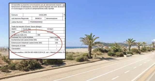 Escherichia coli ed enterococchi in mare: così è scattato il divieto di fare il bagno in un tratto del Poetto