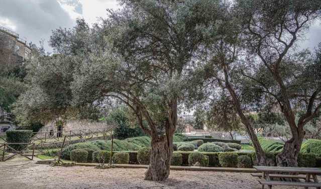 Firmato l'accordo: a Cagliari un grande parco urbano nel cuore del centro storico