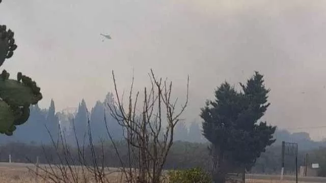 Inferno di fuoco tra Monastir, Villasor e Villacidro: 5 incendi attivi in contemporanea