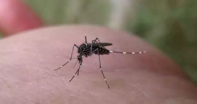 Settimo decesso nel Lazio per la Febbre del Nilo, il secondo oggi