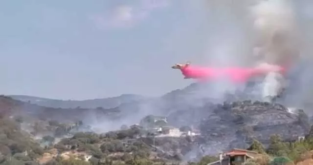Vasto incendio tra Ozieri e Nughedu: aziende agricole e auto in fiamme (VIDEO)