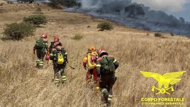 Incendi in Sardegna, 16 rohi oggi: canneti bruciati tra Bari Sardo e Santadi