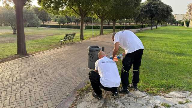 Cagliari, massiccia presenza di ratti a Monteclaro: intervento urgente 