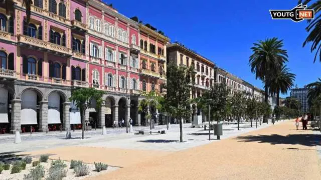Il Tg della sera - a Agosto 2025