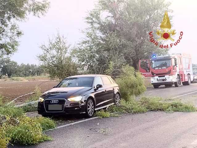 Grosso ramo finisce su un'auto in corsa sulla 197 tra Villasanta e Furtei