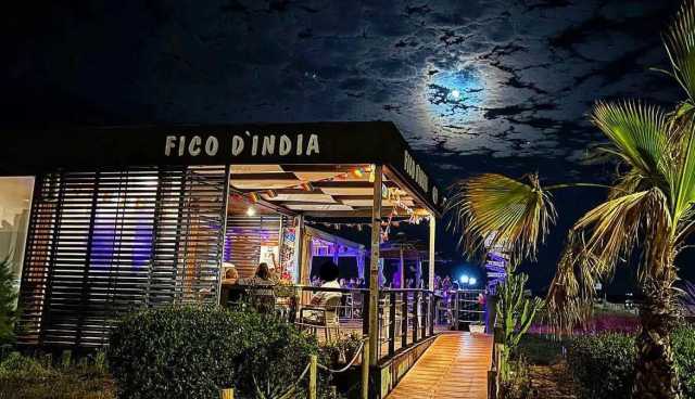 Fico Dindiapoetto