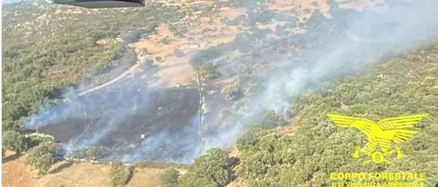Ancora fuoco in Sardegna: 16 incendi oggi, un bosco in fiamme a Monti