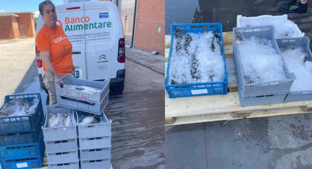 Oristano, 100 chili di pesce fresco sequestati dalla Asl donati al Banco alimentare della Sardegna