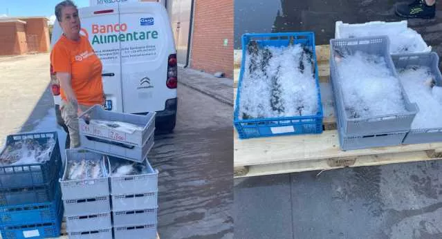 Oristano, 100 chili di pesce fresco sequestati dalla Asl donati al Banco alimentare della Sardegna