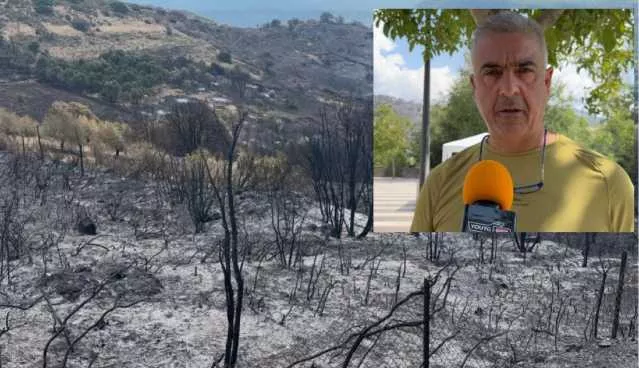 Il giorno dopo il rogo a Seulo, il sindaco: 