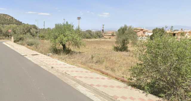 Capoterra, tra gli alberi un 