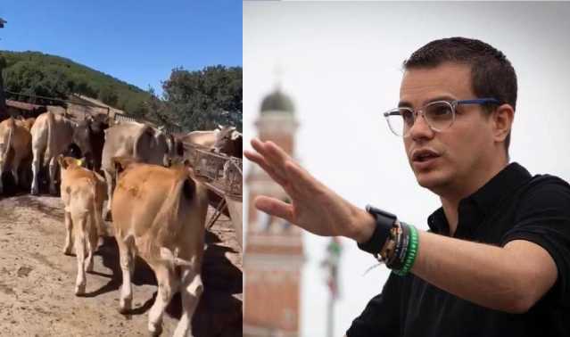 Dermatite bovina, Enrico Rizzi risponde alle critiche: 