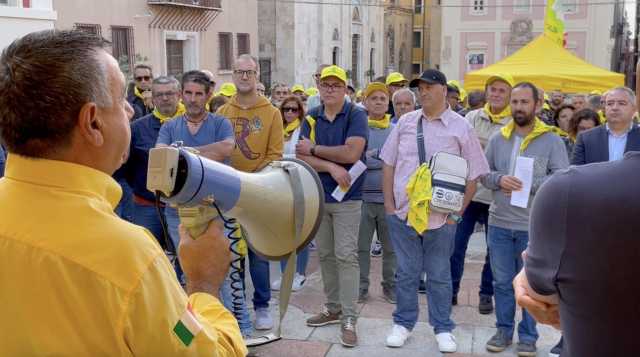 Speculazioni sul grano, agricoltori sardi in protesta: 