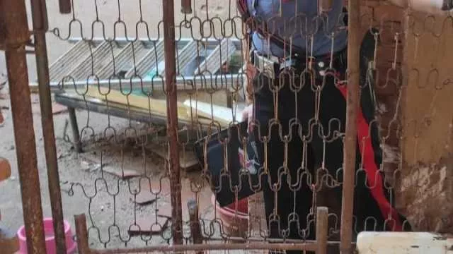 Cani abbandonati sotto sole e intemperie: 31enne denunciato a Igleias