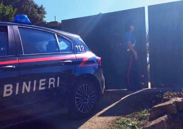 Villacidro, arriva nel suo terreno e trova un lucchetto: dentro una piantagione di canapa indiana