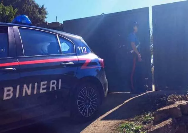 Villacidro, arriva nel suo terreno e trova un lucchetto: dentro una piantagione di canapa indiana