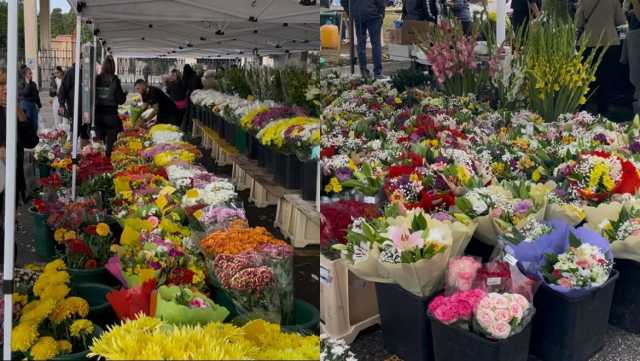 Cimitero San Michele Cagliari, al cimitero di San Michele al via gli acquisti dei fiori per la festa dei morti: “Vendite in calo”