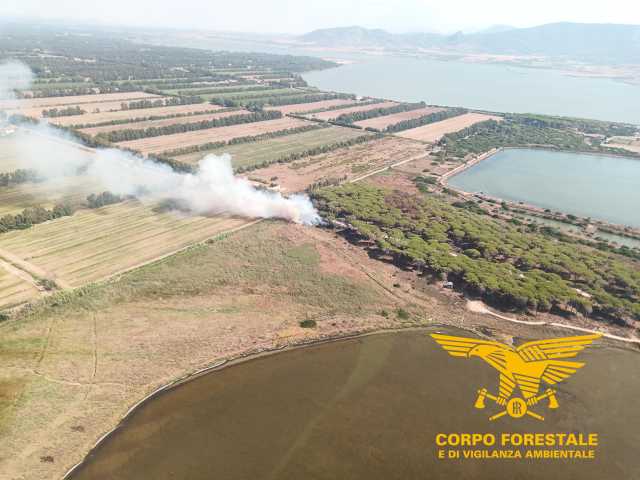 Arriva in monopattino e appicca 5 incendi nella pineta di Terralba e Arborea: arrestato piromane seriale 