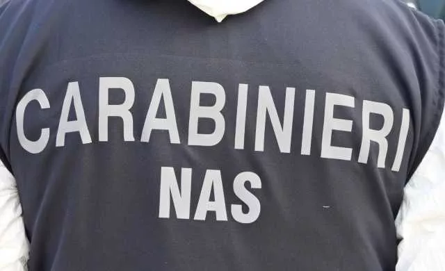 Carabinieri Nas 5 Quartu, infestazione di blatte e sporcizia: chiuso un panificio, sequestrati 70 chili di alimenti