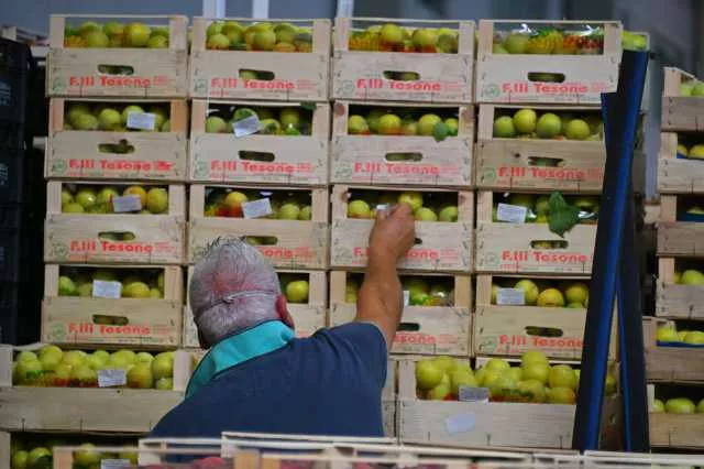 Sanluri, ruba duemila euro di frutta fresca: denunciato un pensionato