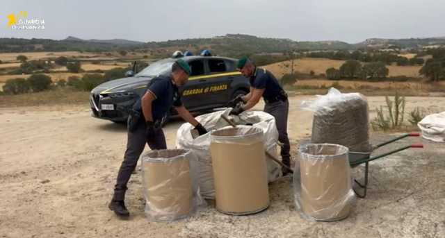 La Gdf di Sassari sequestra 276 chili di marijuana in un'azienda agricola: una denuncia