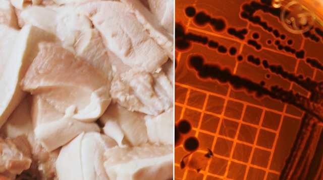 Pazienti positivi alla salmonella nel Cagliaritano: scattano le verifiche sui focolai