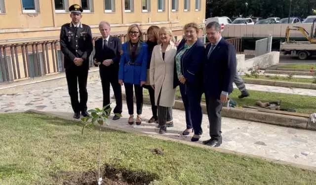 Albero Giovanni Falcone