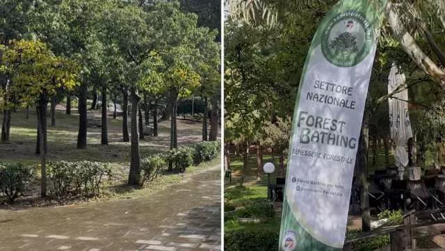 Cagliari, a Monte Urpinu il primo percorso Forest Bathing: 