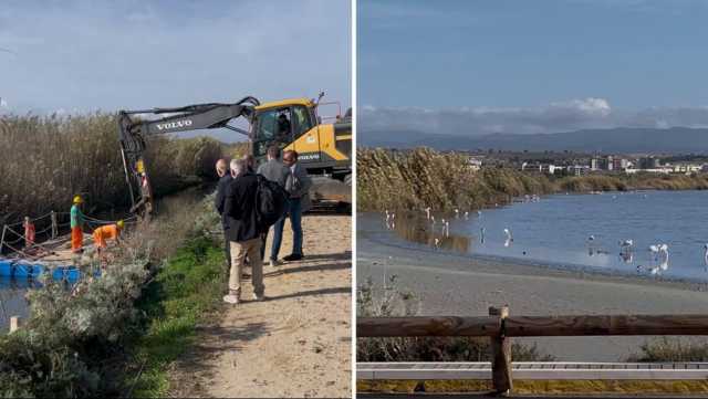 Molentargius, primi lavori (dopo 40 anni) sul canale per preservare le saline e le nidificazioni