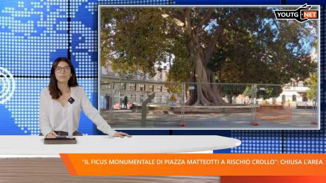 Il Tg del mattino - 12 Novembre 2025