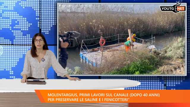 Il Tg del mattino - 14 Novembre 2025