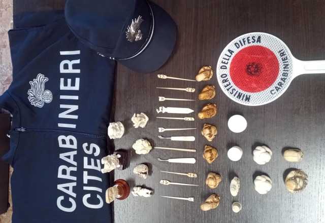 Muravera, scoperti e sequestrati 34 oggetti illegali in avorio: denunciata una 60enne