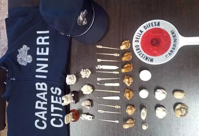 Muravera, scoperti e sequestrati 34 oggetti illegali in avorio: denunciata una 60enne