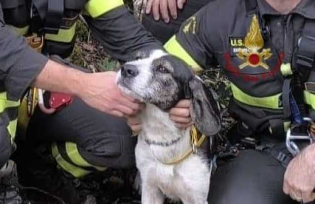 Santadi, un cane e una capra restano bloccati a 520 metri di altitudine: salvati dai vigili del fuoco