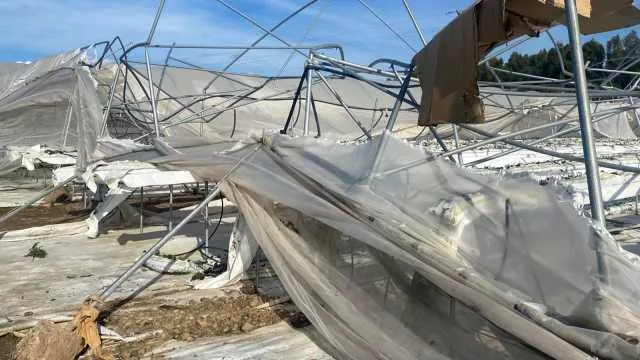 Tromba d'aria nell'oristanese, la Regione fa un sopralluogo: 